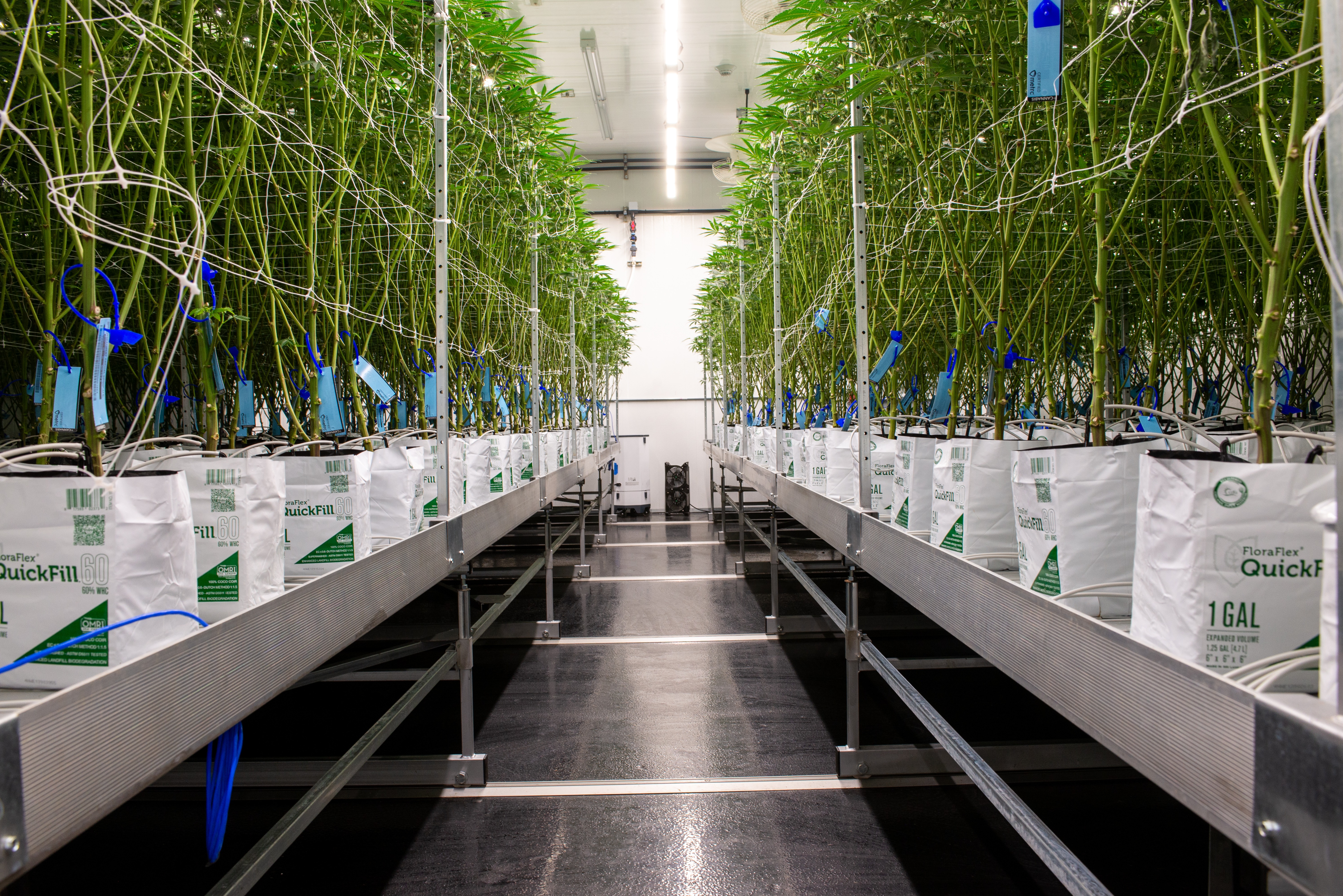 Greenhouse with climate monitoring
