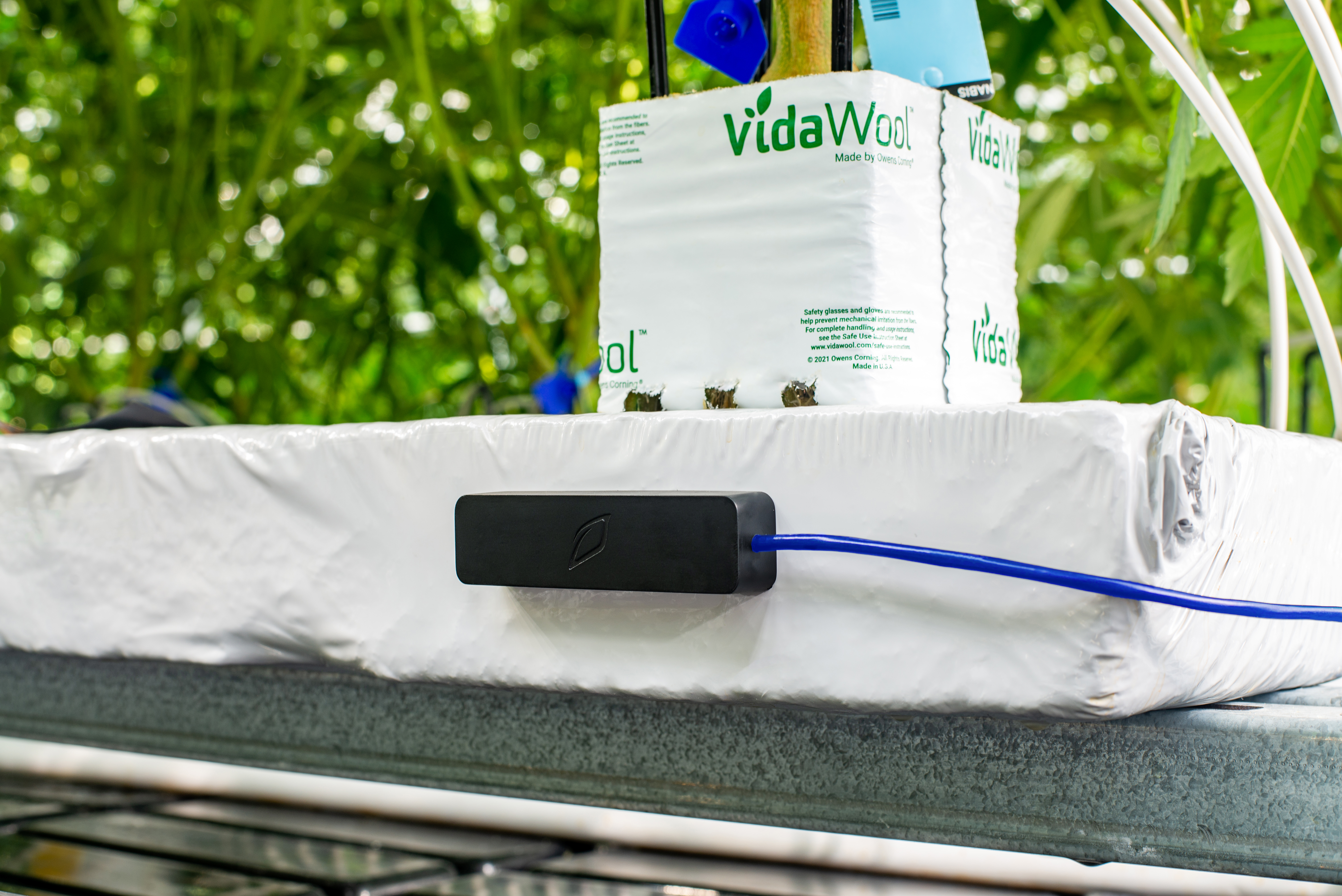 Terralink sensor in growing slab
